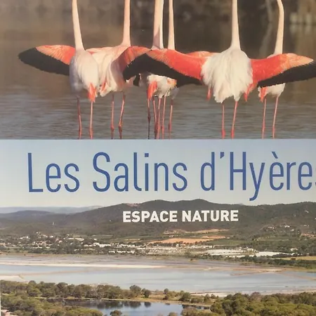 Les Salins * Hyeres